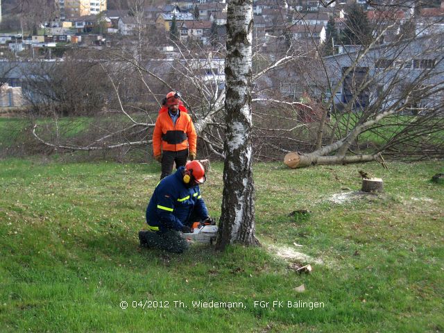 Nächster Helfer, nächster Baum