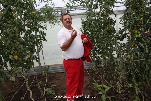 Tomaten probieren!