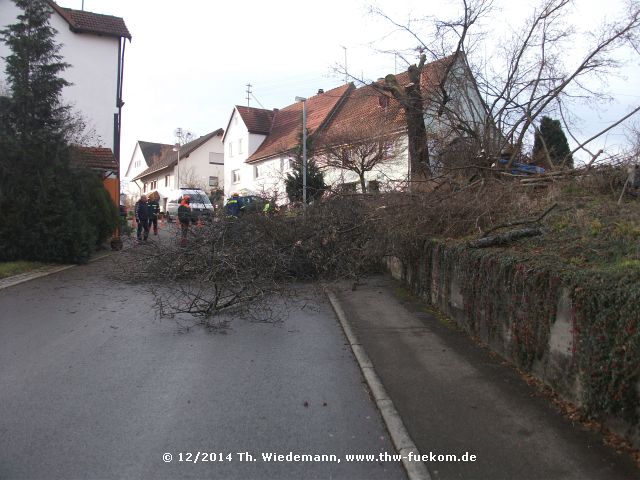 Die Grobarbeiten am Kirchbaum sind erledigt