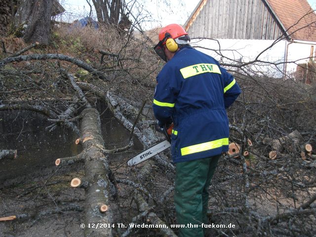 Stammholz ablängen