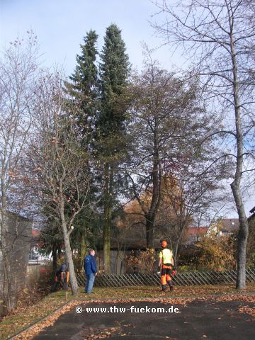 Vier Bäume wurden im Rahmen der Ausbildung gefällt